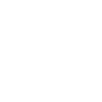 Equine Facilated Learning - Animals In Mind