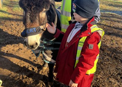 Rupert the donkey in his outside paddock during a 1-1 hands on equine facilitated learning session.