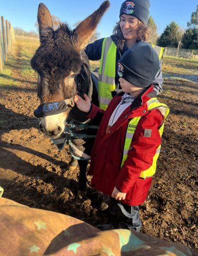 Rupert the donkey in his outside paddock during a 1-1 hands on equine facilitated learning session.