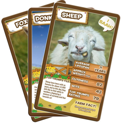 Animal Cards