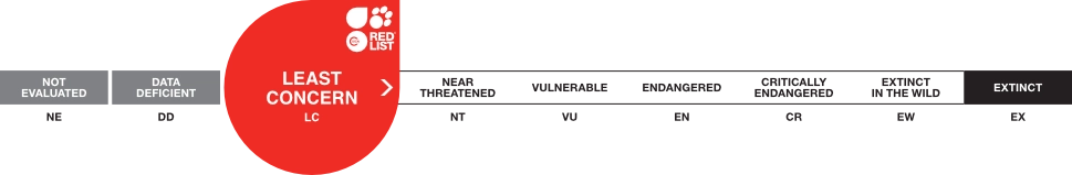 Least Concern