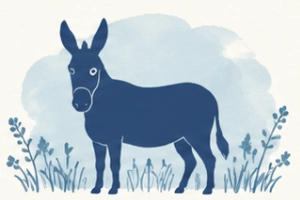 Donkey illustration