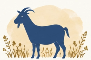 Goat illustration