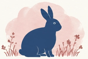 Rabbit illustration